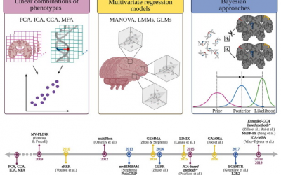Let’s MAMBO: Multivariate Analysis and Modelling of multiple Brain endOphenotypes